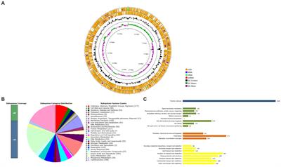 First report of coexistence of blaKPC-2 and blaNDM-1 in carbapenem-resistant clinical isolates of Klebsiella aerogenes in Brazil